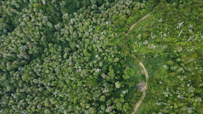 Oportunidad Perfecta Inversión Terreno Agrícola Ganadero