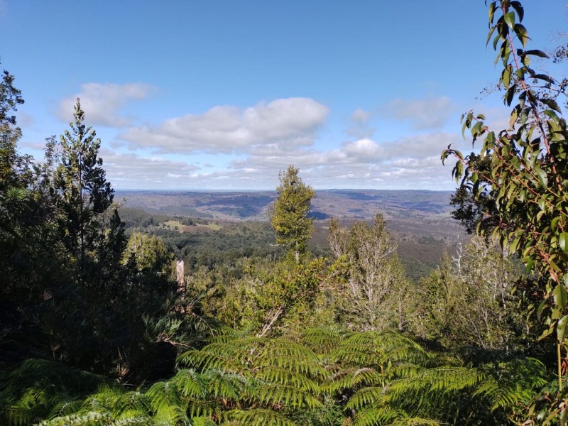 Sitio Agricola-Ganadero