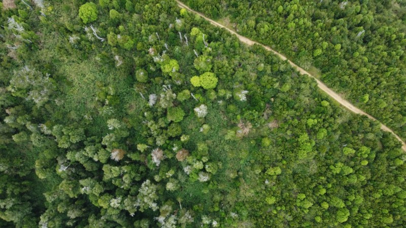 Oportunidad Perfecta Inversión Terreno Agrícola Ganadero