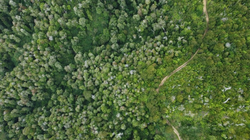 Oportunidad Perfecta Inversión Terreno Agrícola Ganadero