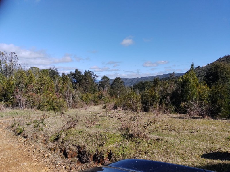 Sitio Agricola-Ganadero