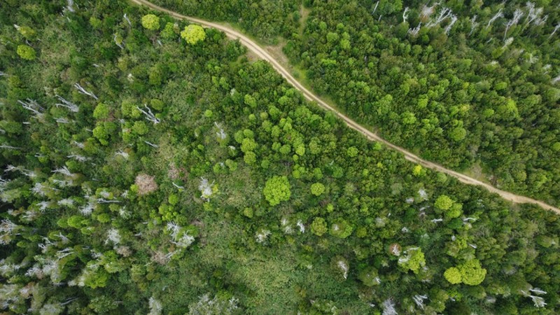 Oportunidad Perfecta Inversión Terreno Agrícola Ganadero