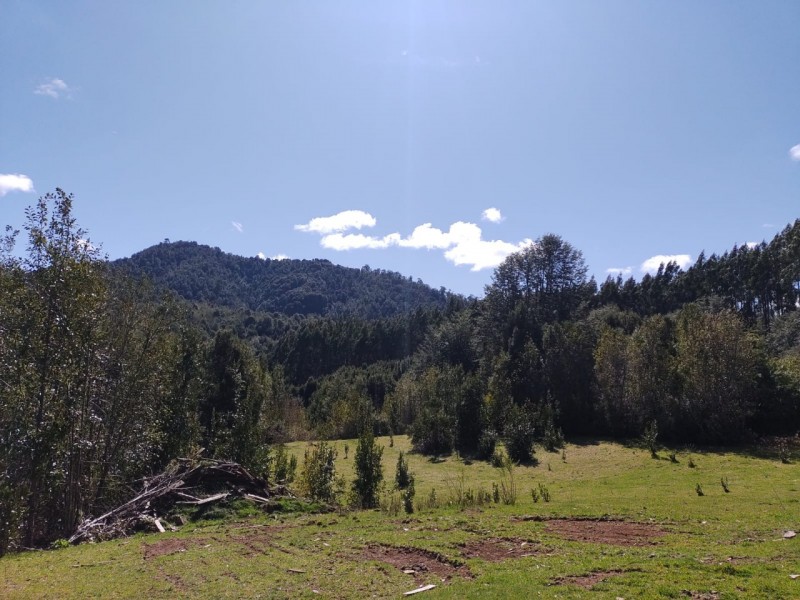 Oportunidad Perfecta Inversión Terreno Agrícola Ganadero