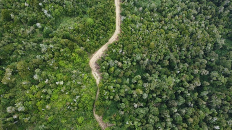 Oportunidad Perfecta Inversión Terreno Agrícola Ganadero