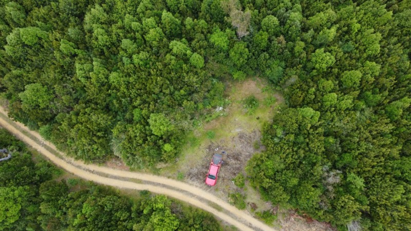 Oportunidad Perfecta Inversión Terreno Agrícola Ganadero