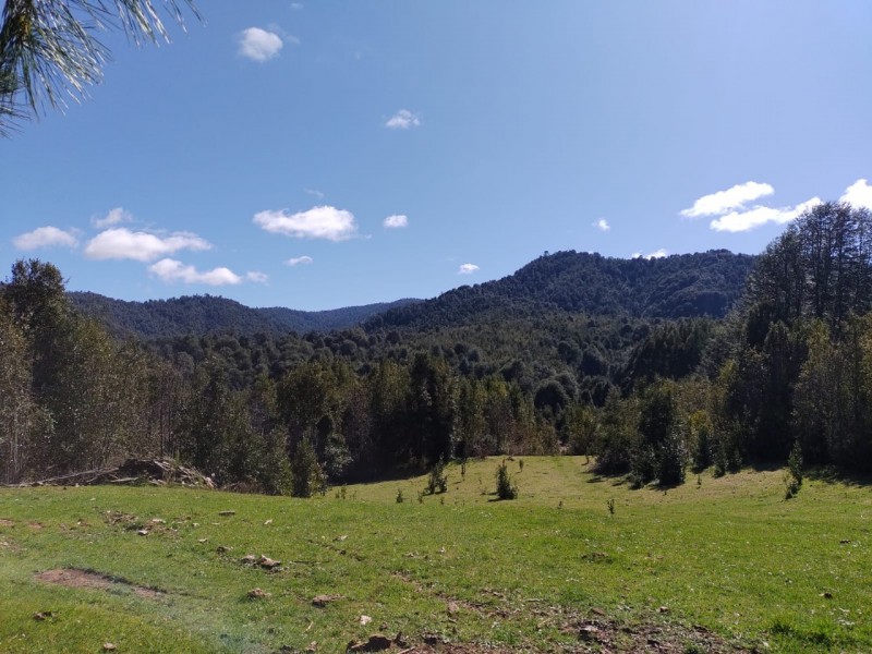Sitio Agricola-Ganadero