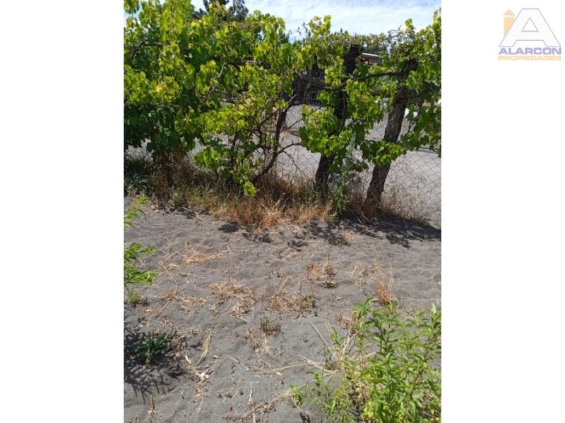 Vendemos Sitio Con Casa de 54Mt 20Min de los Angeles