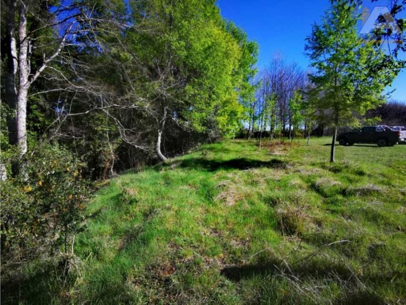 Fotografía de 🌿 ¡tu Parcela Soñada Te Espera en Coipue, Freire! 🌿