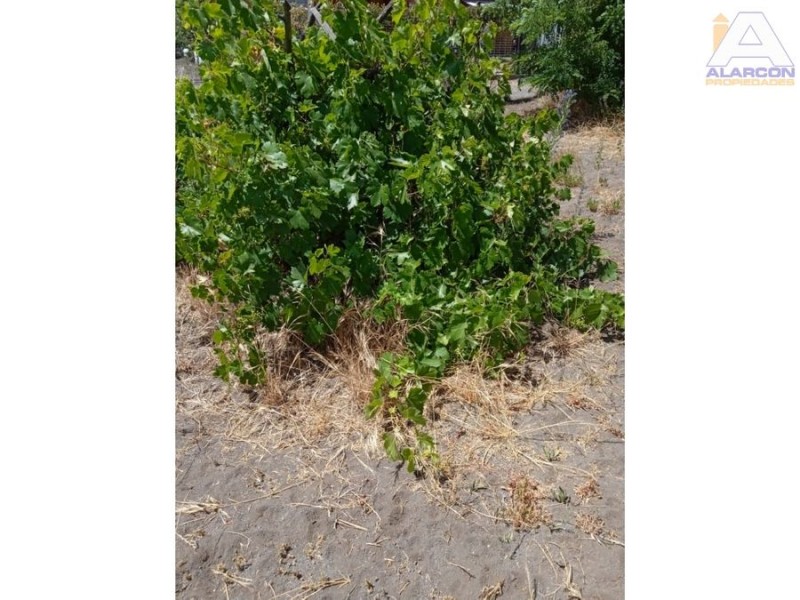 Vendemos Sitio Con Casa de 54Mt 20Min de los Angeles