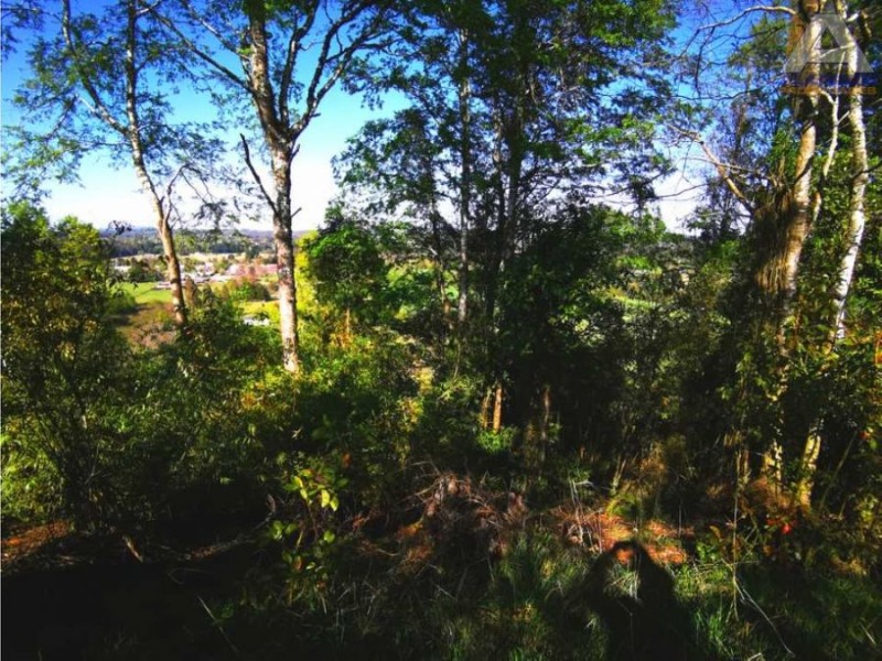 🌿 ¡tu Parcela Soñada Te Espera en Coipue, Freire! 🌿