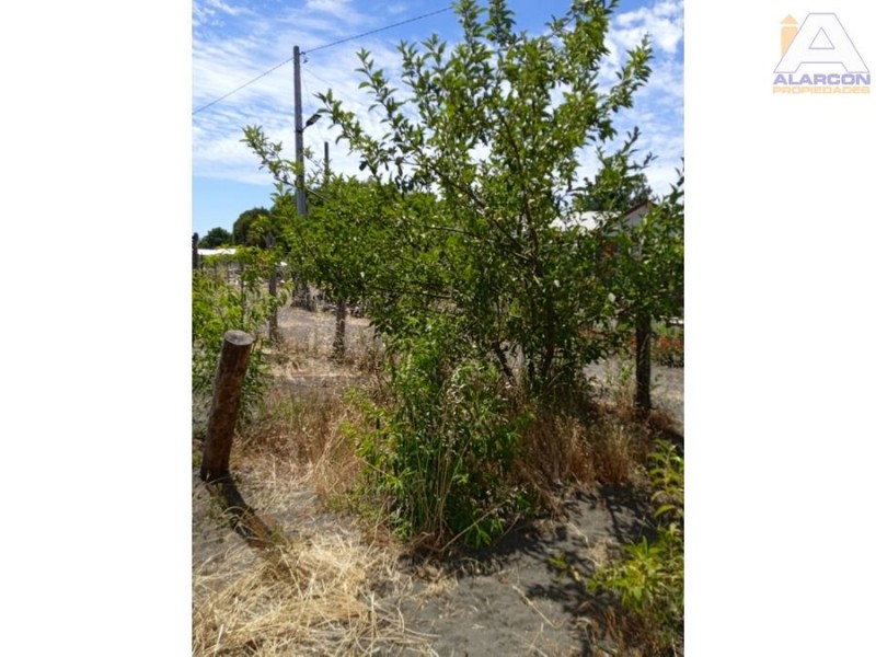 Vendemos Sitio Con Casa de 54Mt 20Min de los Angeles