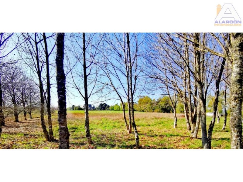 🌿 ¡tu Parcela Soñada Te Espera en Coipue, Freire! 🌿