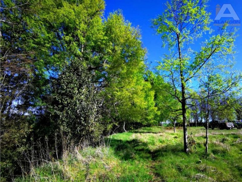 🌿 ¡tu Parcela Soñada Te Espera en Coipue, Freire! 🌿