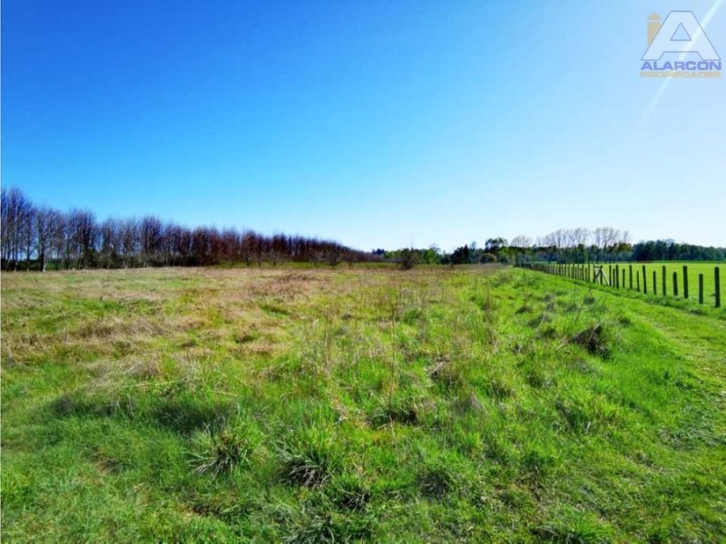 🌿 ¡tu Parcela Soñada Te Espera en Coipue, Freire! 🌿