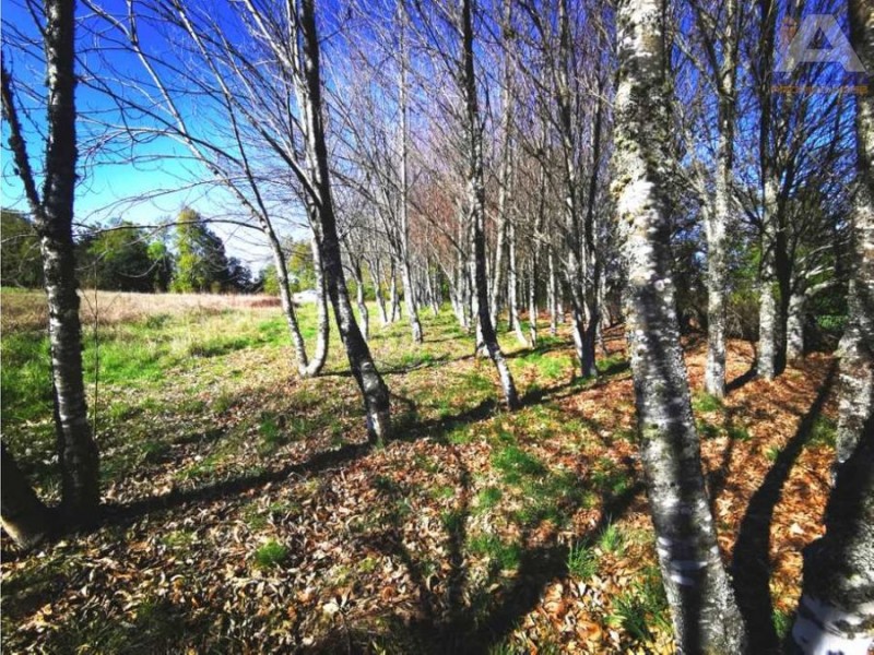 🌿 ¡tu Parcela Soñada Te Espera en Coipue, Freire! 🌿