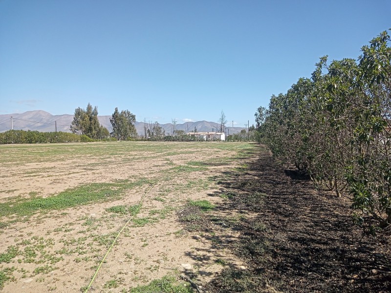 en Venta Linda Parcela en Vallenar, Hda Compañia.