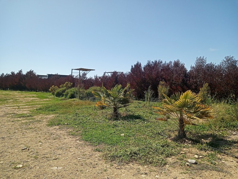 en Venta Linda Parcela en Vallenar, Hda Compañia.