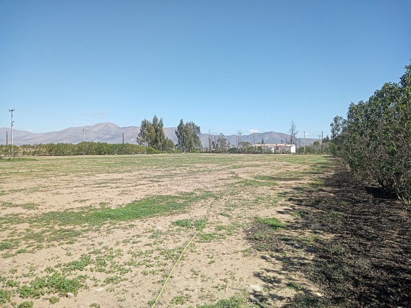 en Venta Linda Parcela en Vallenar, Hda Compañia.