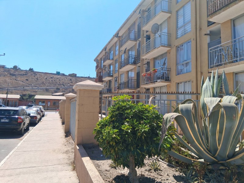 Fotografía de en Arriendo Lindo Departamento en Vallenar, Quinta Valle