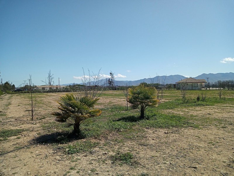 en Venta Linda Parcela en Vallenar, Hda Compañia.
