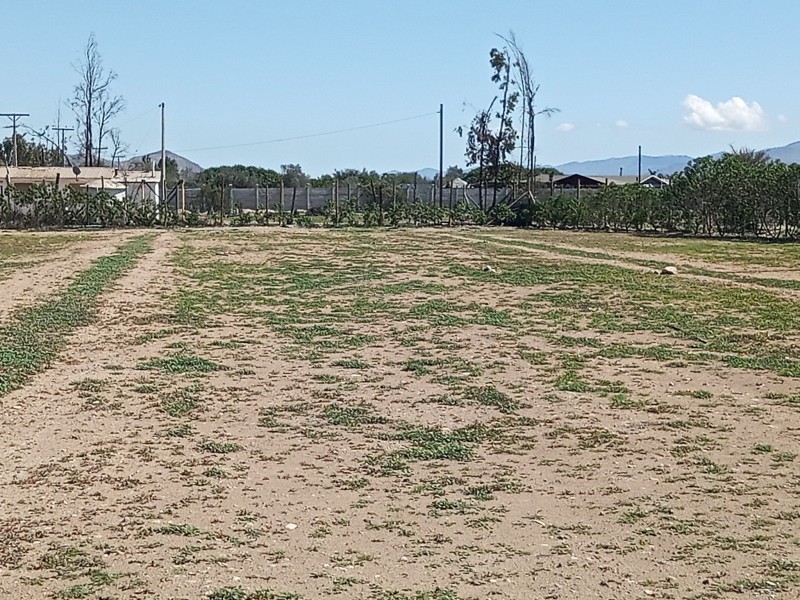 en Venta Linda Parcela en Vallenar, Hda Compañia.