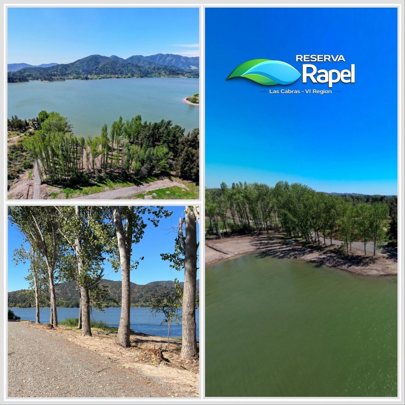 Parcela en Venta 5.000 M² Con Acceso Lago Rapel, las Cabras