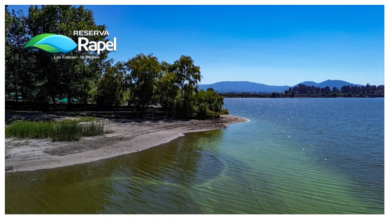 Parcela en Venta 5.000 M² Con Acceso Lago Rapel, las Cabras