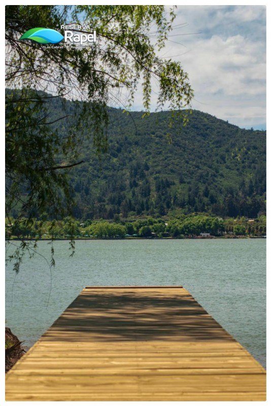 Parcela en Venta 5.000 M² Con Acceso Lago Rapel, las Cabras