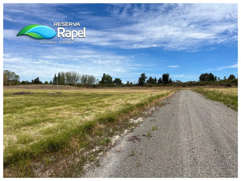Parcela en Venta 5.000 M² Con Acceso Lago Rapel, las Cabras