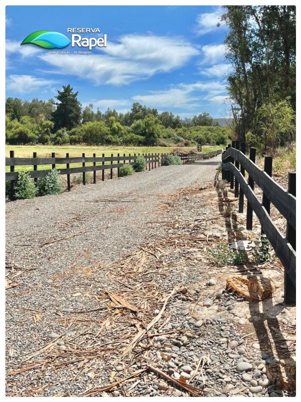 Parcela en Venta 5.000 M² Con Acceso Lago Rapel, las Cabras