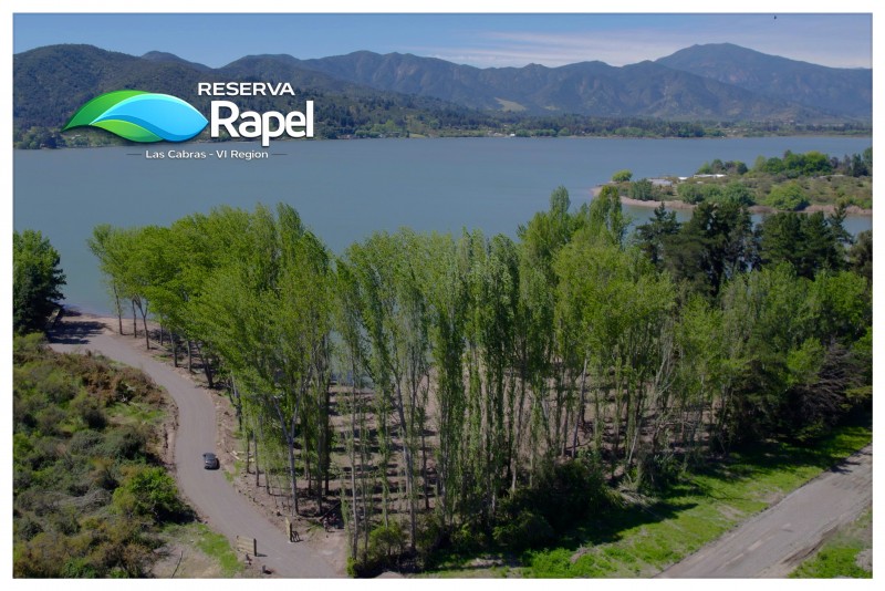Parcela en Venta 5.000 M² Con Acceso Lago Rapel, las Cabras