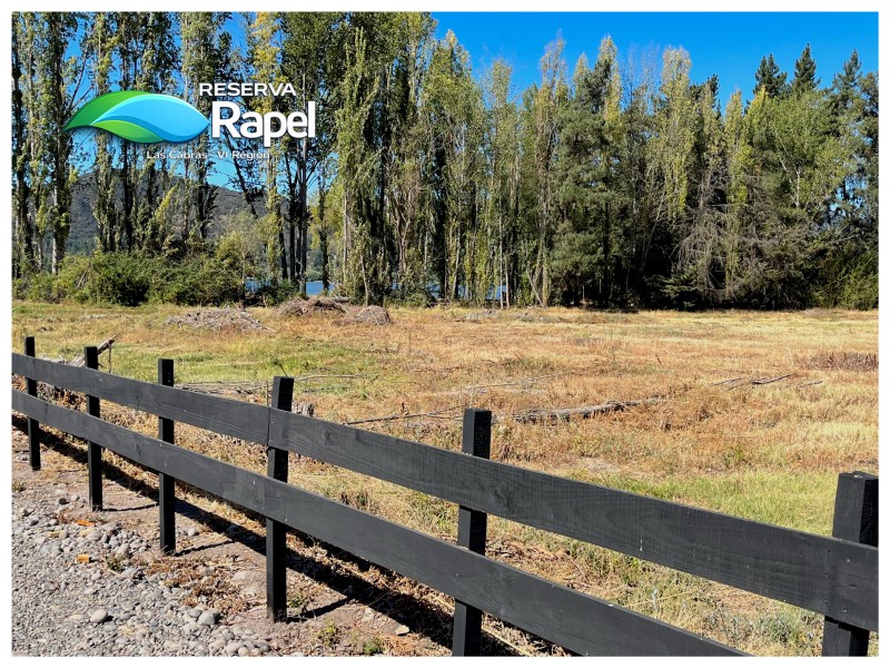 Parcela en Venta 5.000 M² Con Acceso Lago Rapel, las Cabras