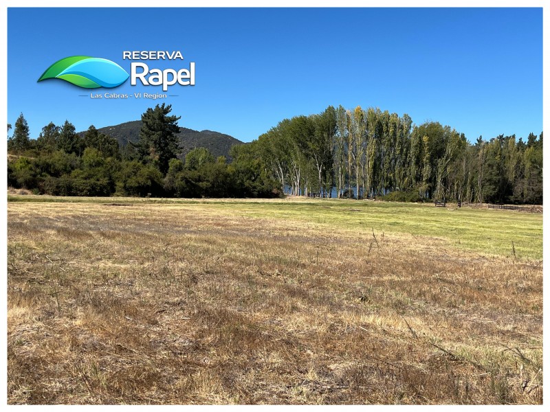 Parcela en Venta 5.000 M² Con Acceso Lago Rapel, las Cabras