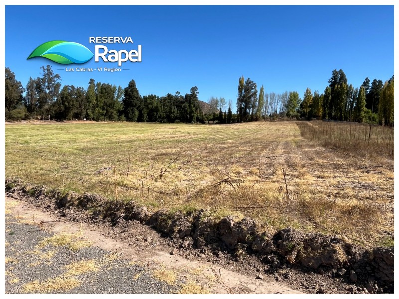 Parcela en Venta 5.000 M² Con Acceso Lago Rapel, las Cabras