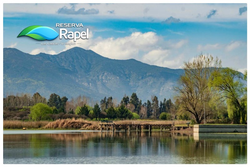 Parcela en Venta 5.000 M² Con Acceso Lago Rapel, las Cabras