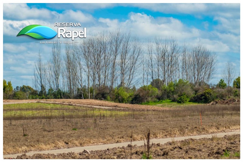 Parcela en Venta 5.000 M² Con Acceso Lago Rapel, las Cabras