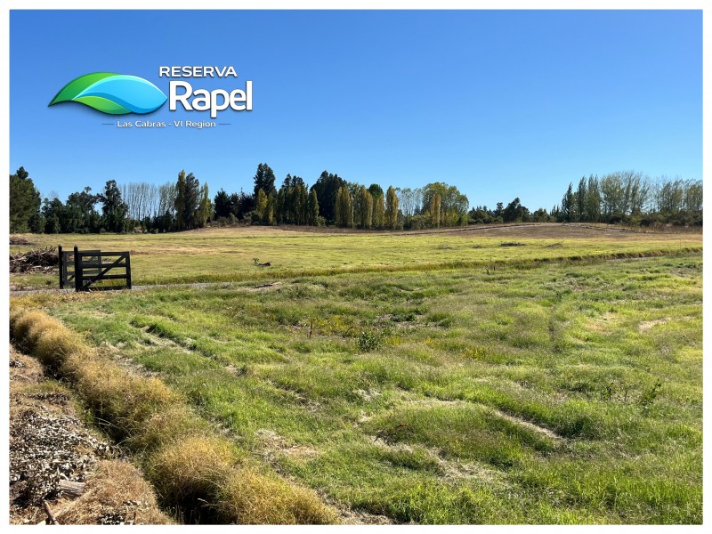 Parcela en Venta 5.000 M² Con Acceso Lago Rapel, las Cabras