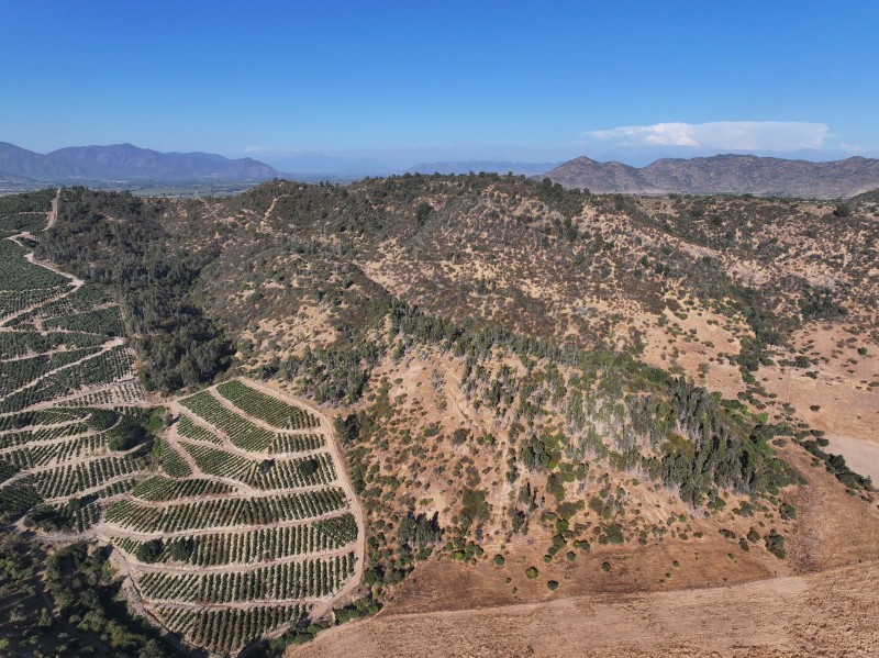 Campo en Venta de 78 Has Santa Cruz