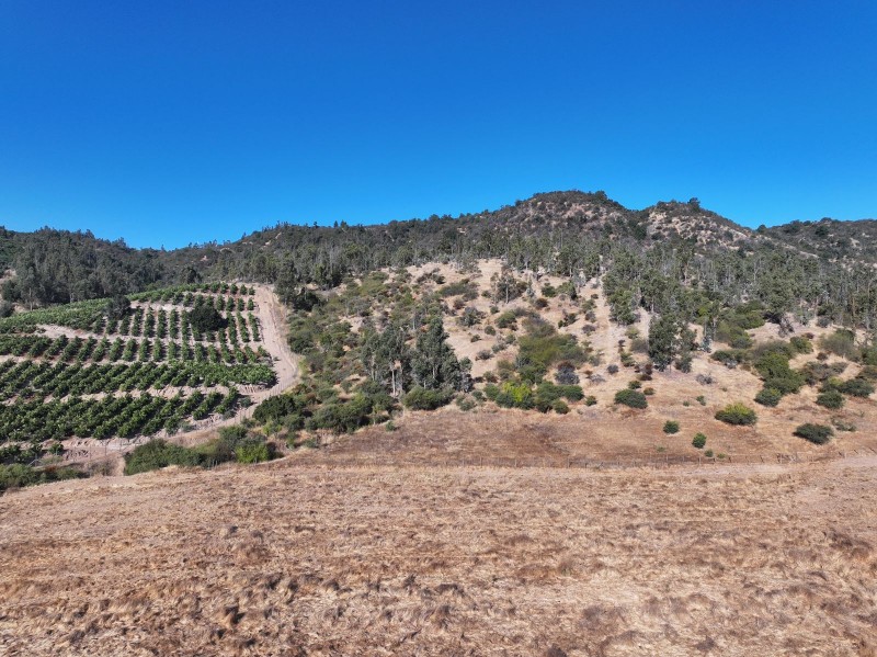 Campo en Venta de 78 Has Santa Cruz