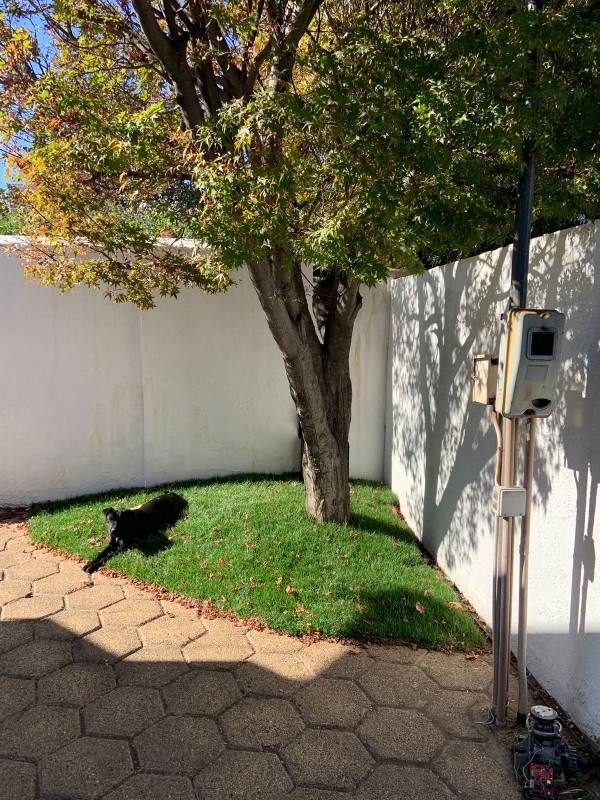 Se Arrienda Hermosa Casa en Calle Licanray Rancagua