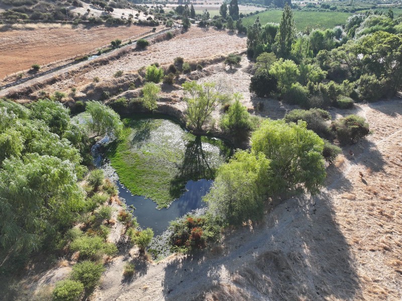 Campo en Venta de 78 Has Santa Cruz