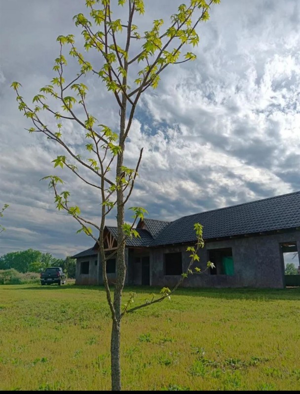 Se Vende Hermosa Parcela Con Construcción
