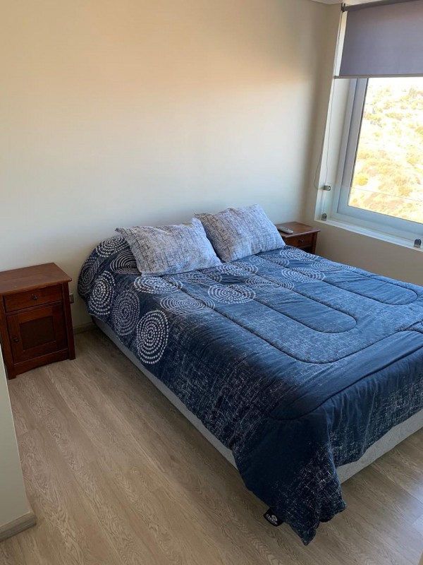 Se Arrienda Hermoso Departamento Amoblado