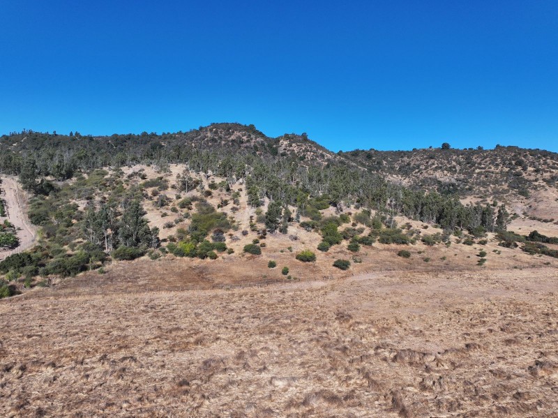 Campo en Venta de 78 Has Santa Cruz