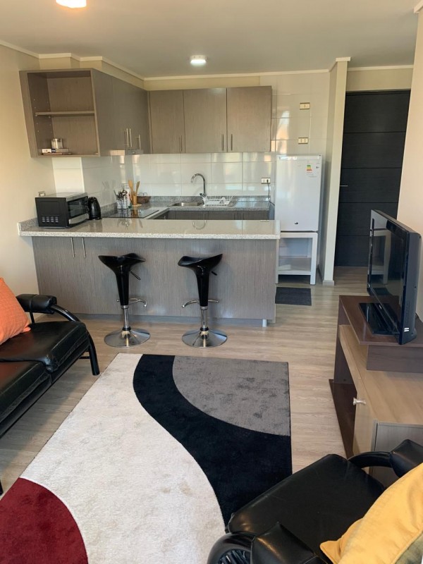 Fotografía de Se Arrienda Hermoso Departamento Amoblado