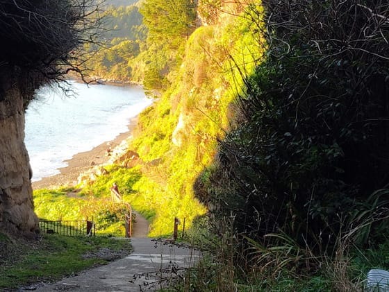 Se Vende Hermosa Propiedad en Sector Costero de Niebla