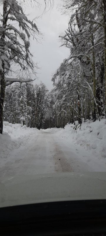 Terrenos en la Region de Ñuble