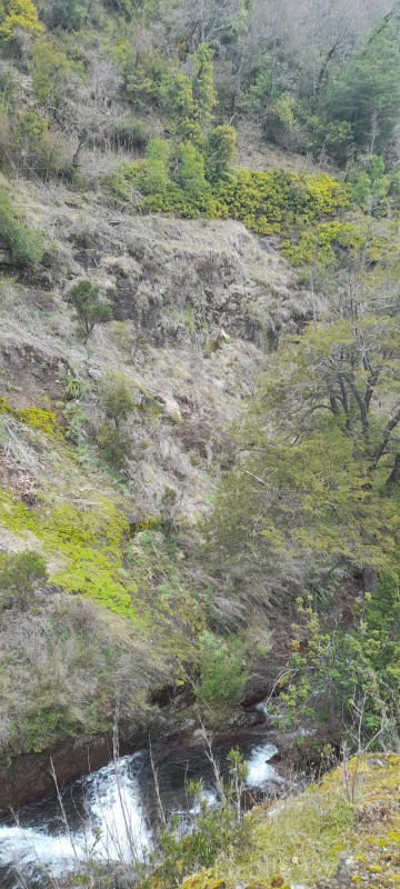 Terrenos en la Region de Ñuble