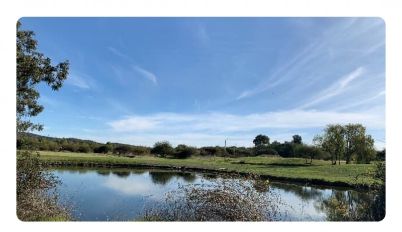 Terreno en Condominio en Rapel