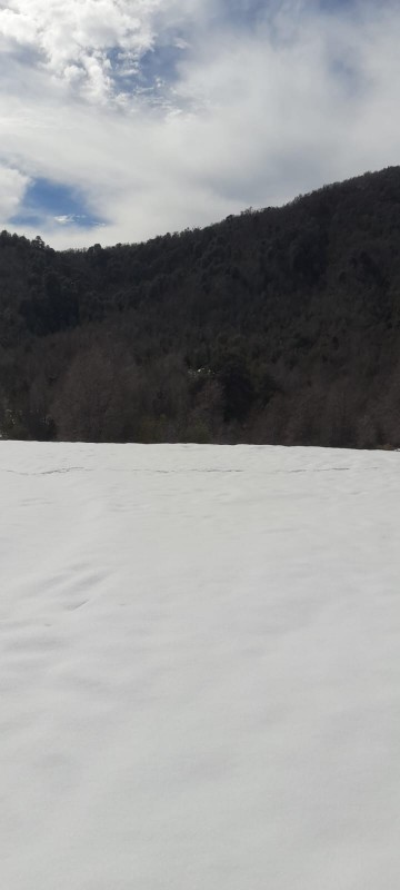 Terrenos en la Region de Ñuble